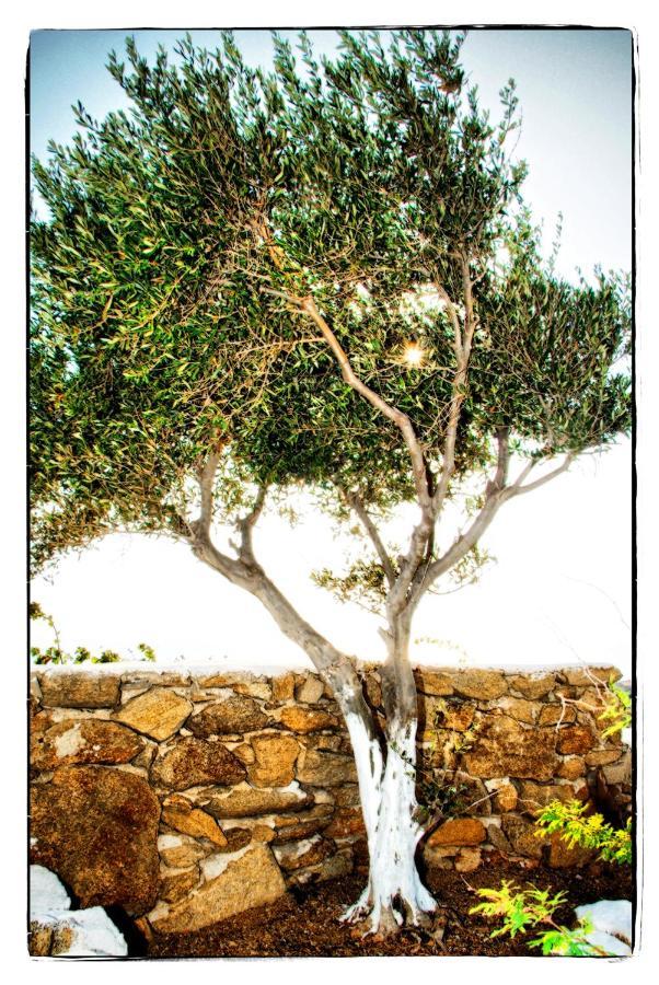 Paolas Sunset Agios Stefanos  Exterior photo